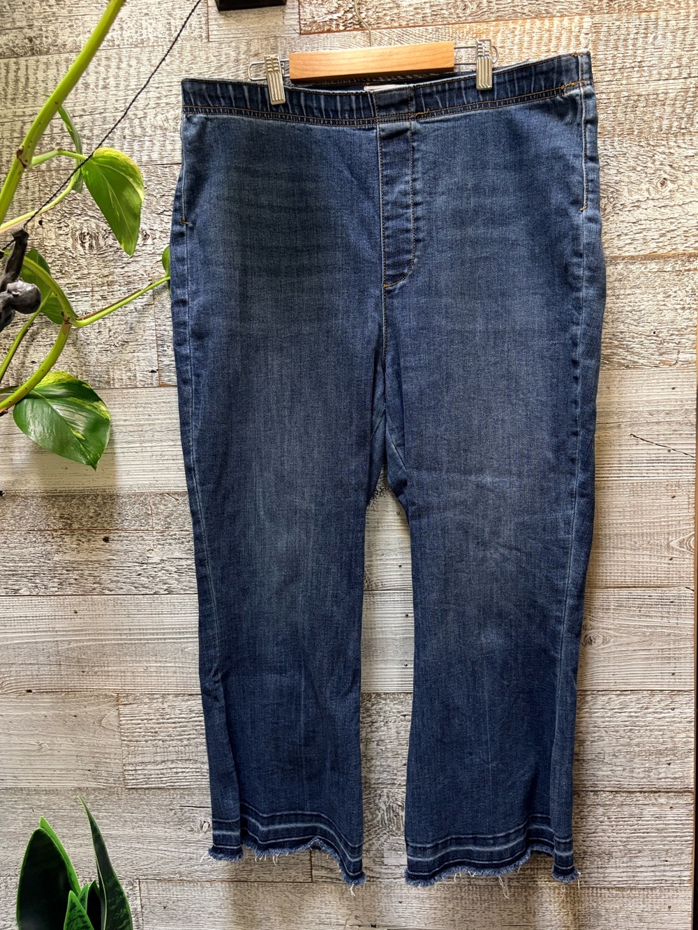 Pilcro | Frayed Crop Pull-On Medium Wash Denim Jeans - Women's XL Petite